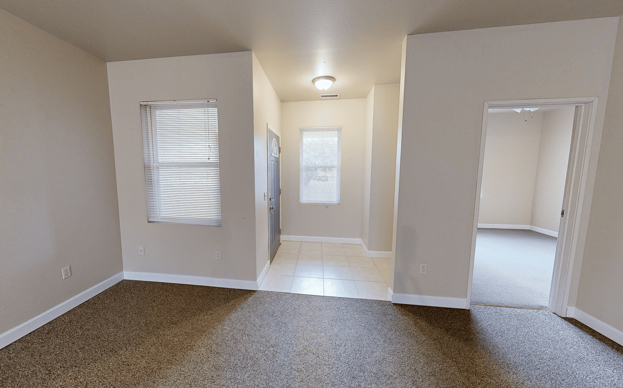 Gallery Photo 8